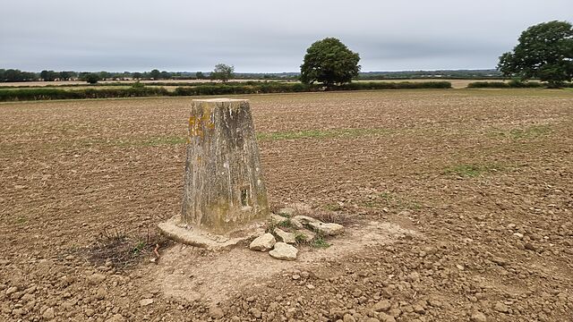 A concrete bollard style trigpoint stands in a bare field.