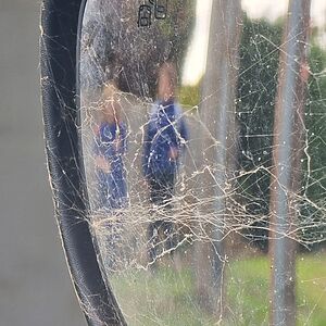 Two children in school uniforms are barely-visible through a close-up of a cobwebbed wing mirror.