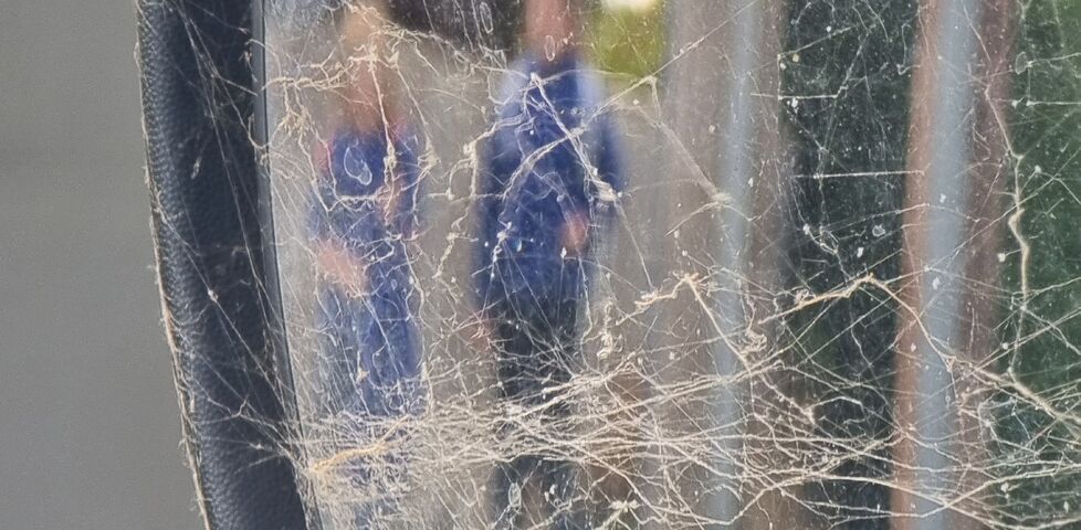 Two children in school uniforms are barely-visible through a close-up of a cobwebbed wing mirror.