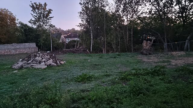 The tree stump and rubble seen from 'over' the fence, from a different angle.