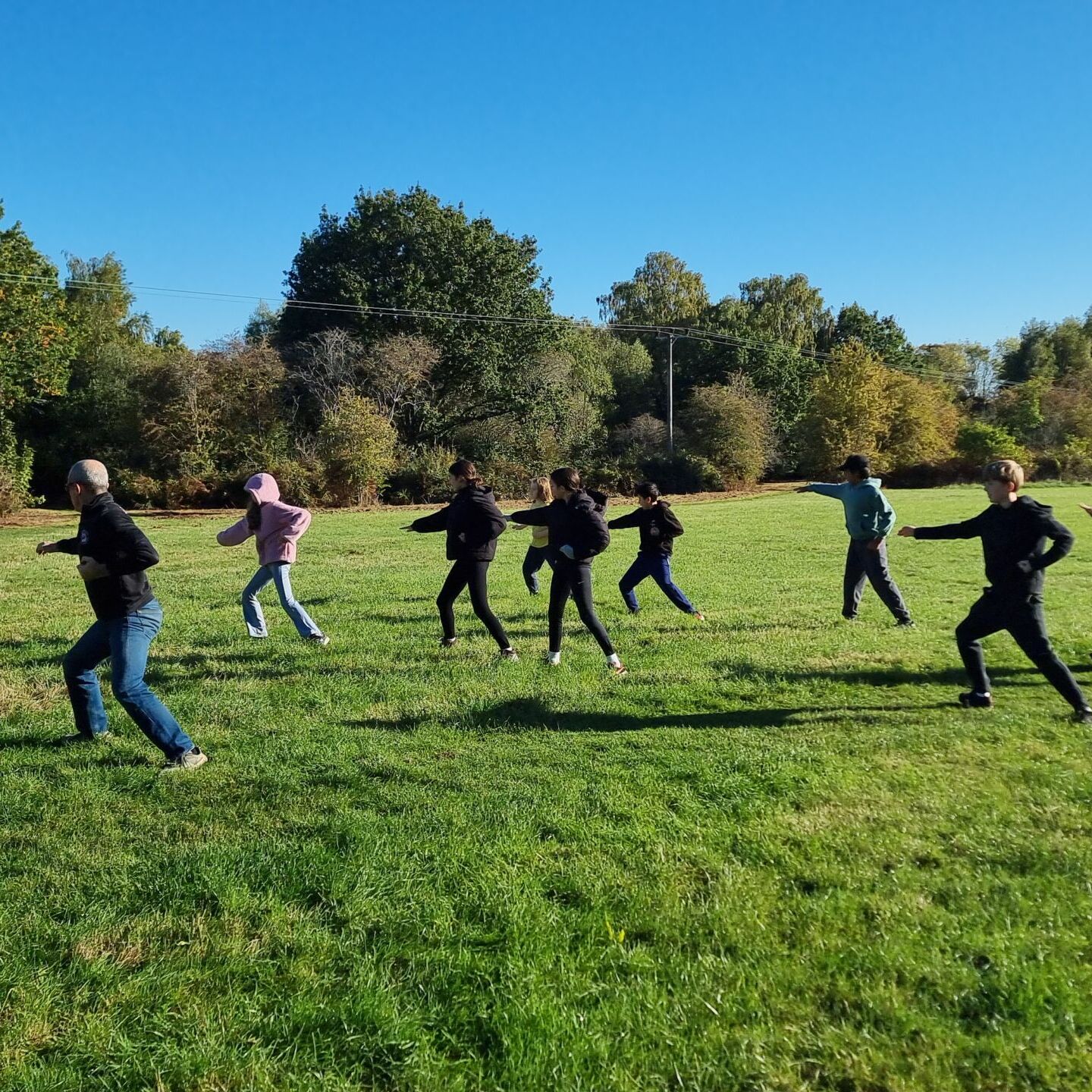 Full image of In a grassy meadow, a group of martial arts students hold a warrior pose.