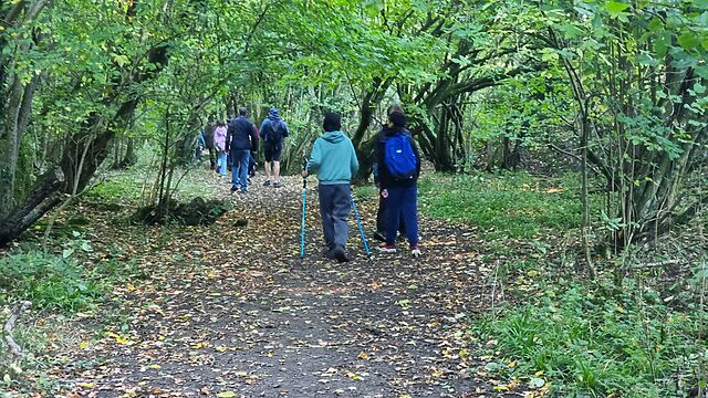 A group of youngsters walks away down a forest path.
