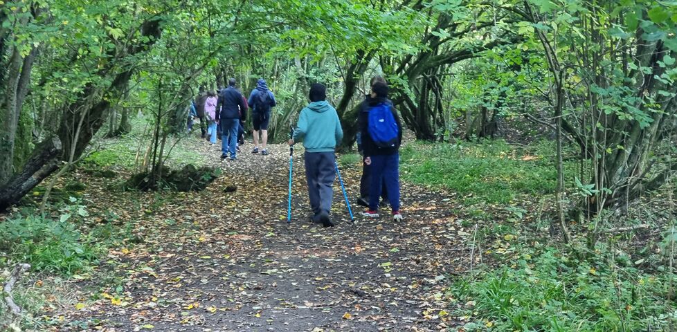 A group of youngsters walks away down a forest path.
