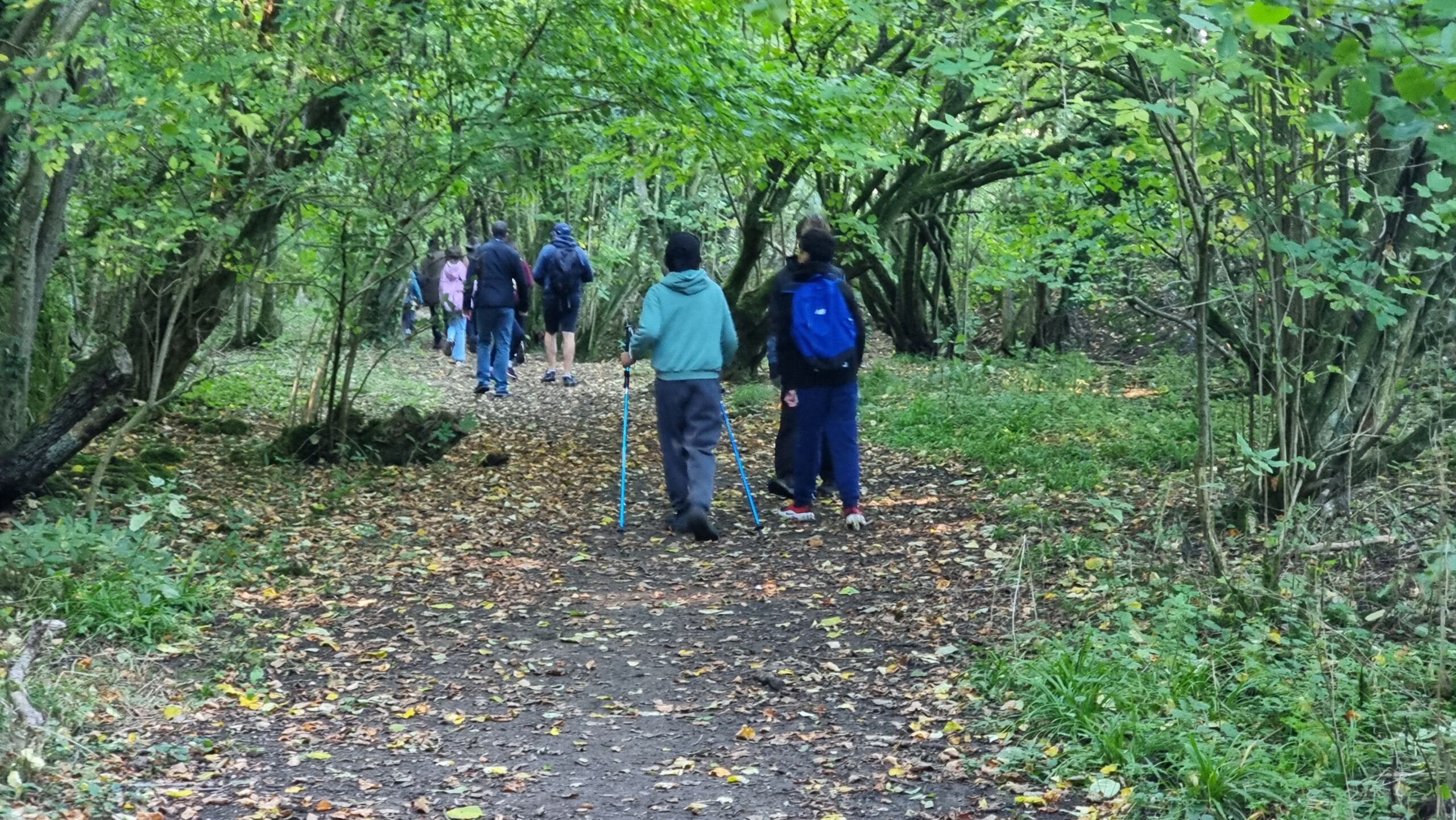 Full image of A group of youngsters walks away down a forest path.