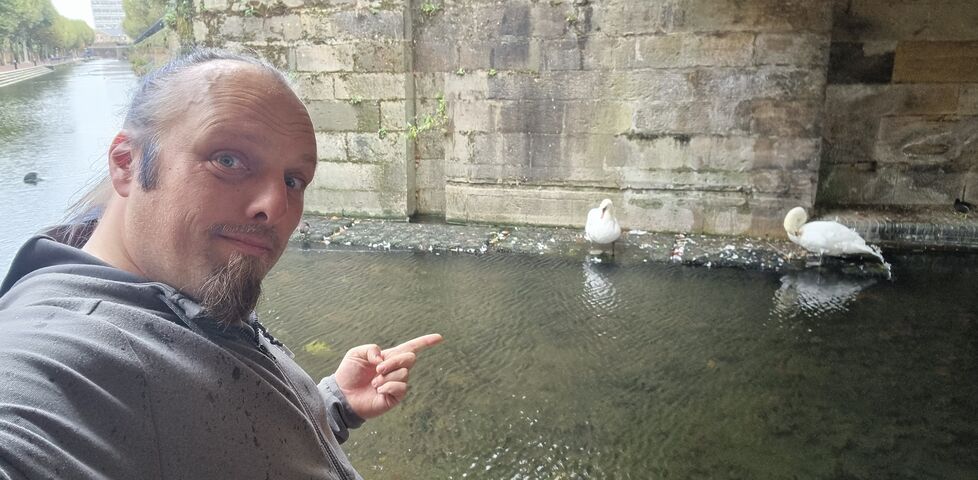 Dan, under a canal bridge, points to a pair of swans.