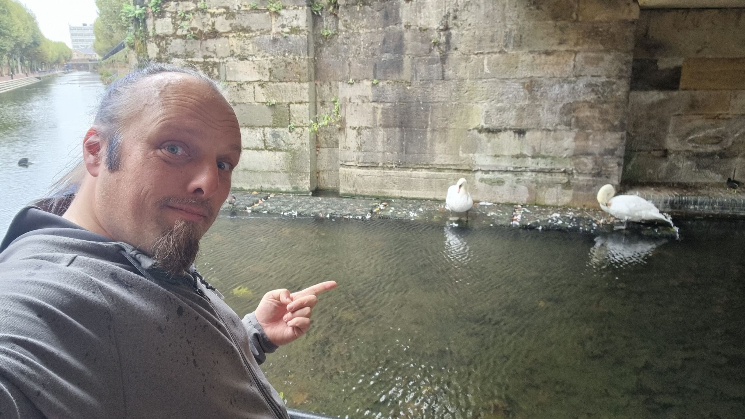 Full image of Dan, under a canal bridge, points to a pair of swans.