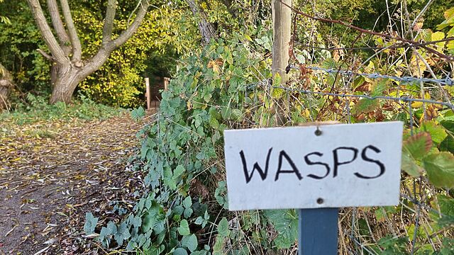 Sign warning of wasps.