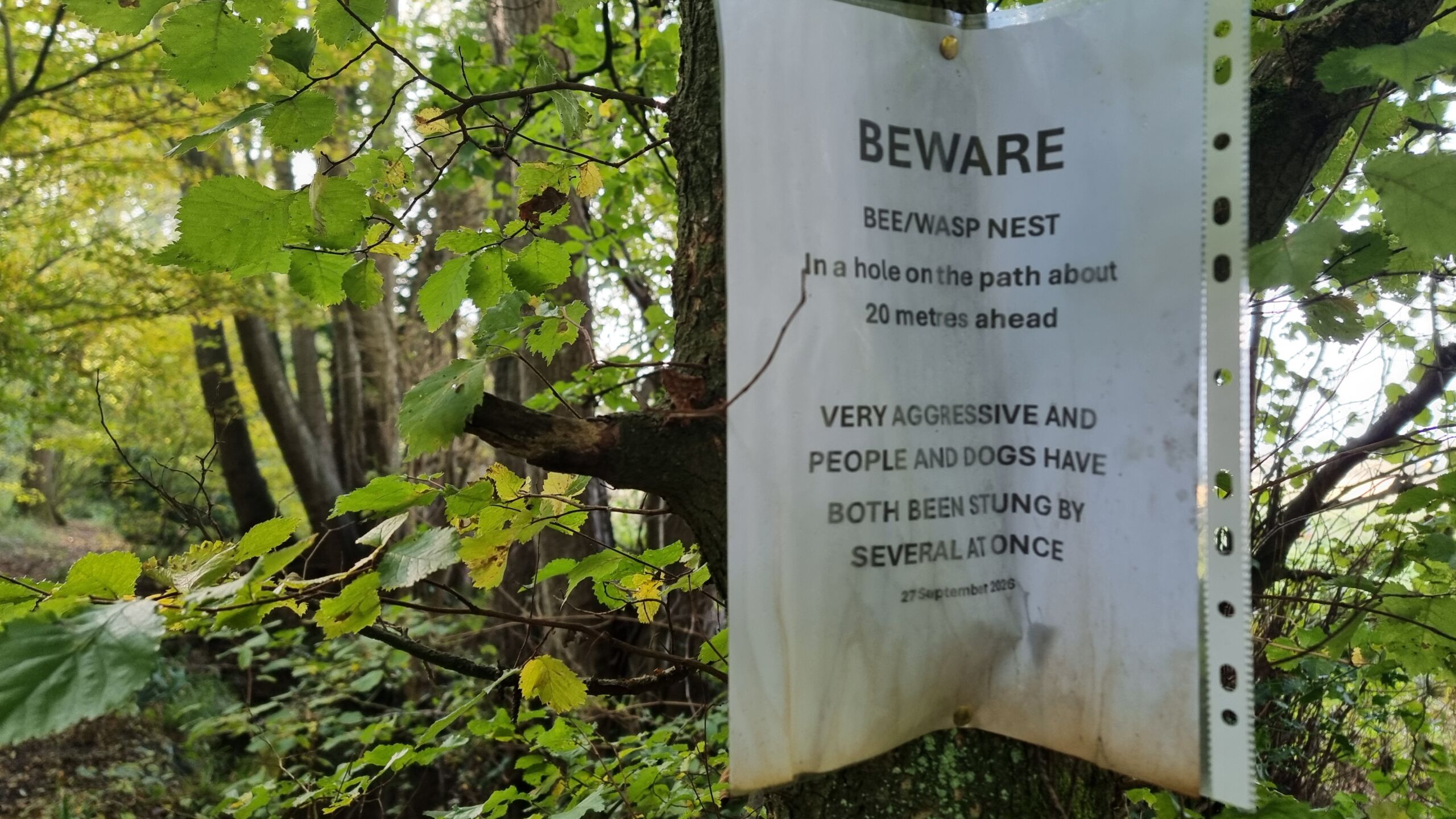 Full image of Notice about a wasps nest being 20m ahead.