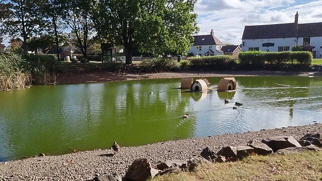 A slightly dried-up duck pond with ducks and cute like pontoon duck houses.