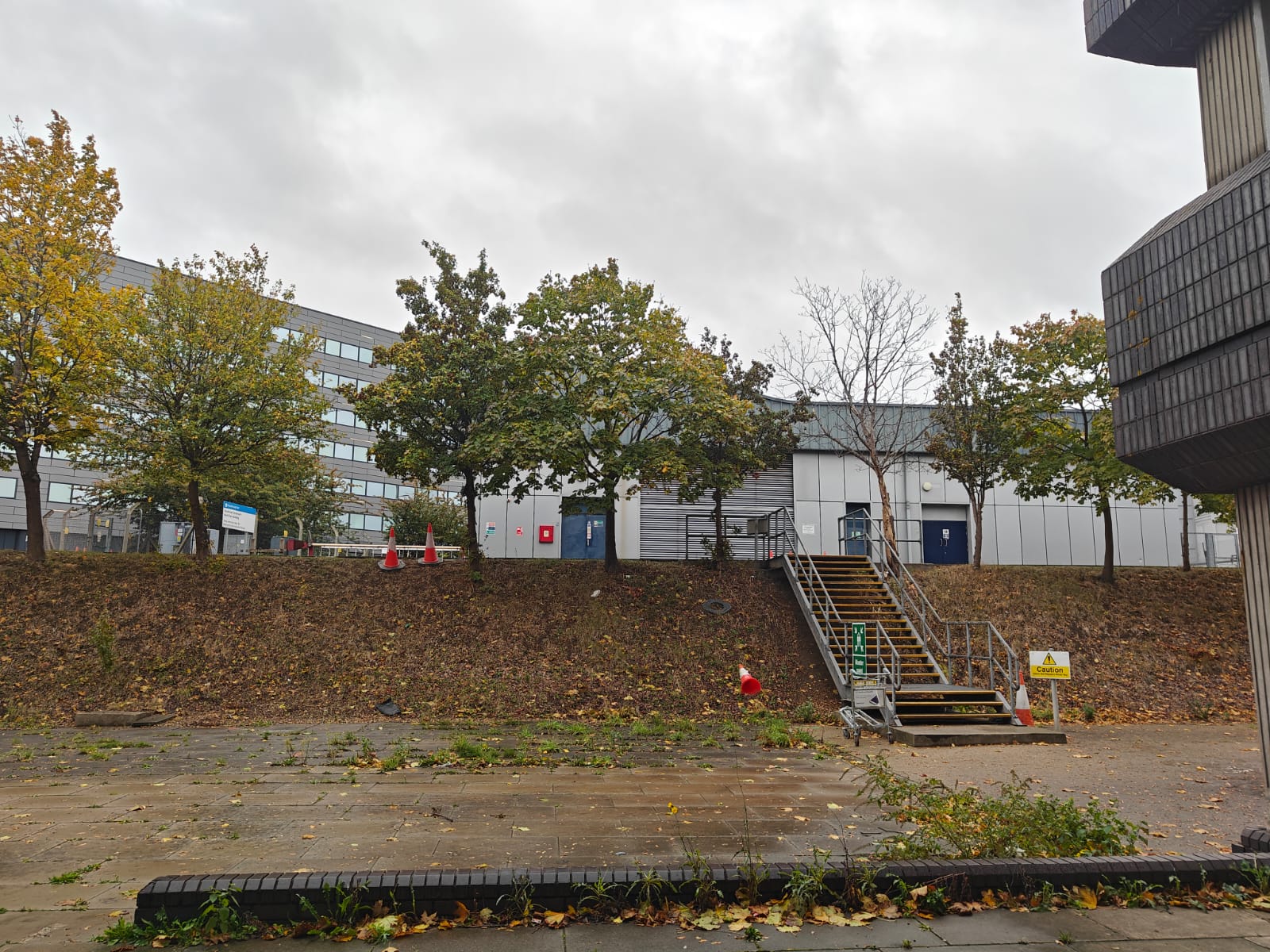 Full image of Scrubby ground and concrete.